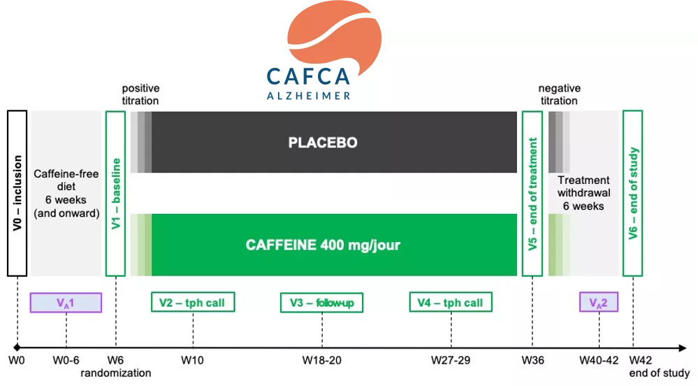 Schéma CAFCA